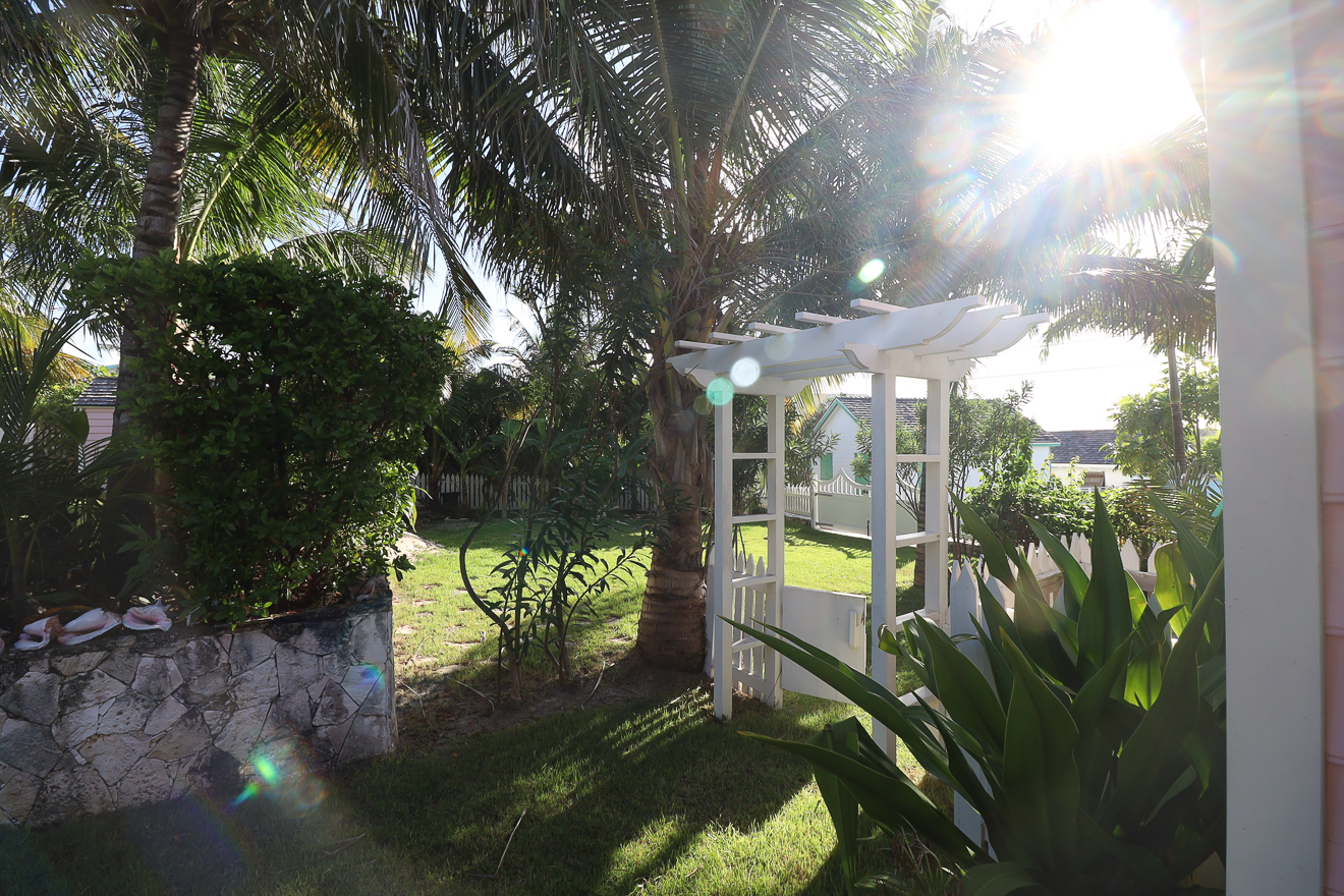 White arbour and garden pathway with coconut palms