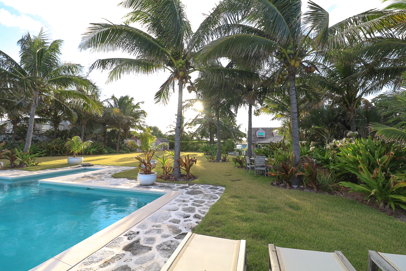 Private pool with palm trees at Hummingbird Cottages
