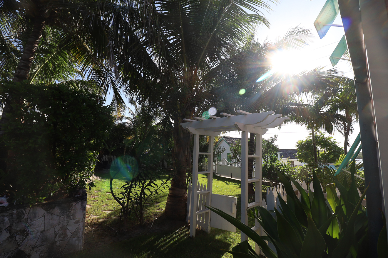 Garden pergola in warm evening light